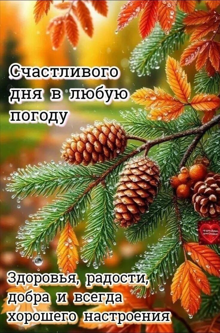 Счастливого дня в любую погоду
Здоровья, радости, добра и всегда хорошего настроения