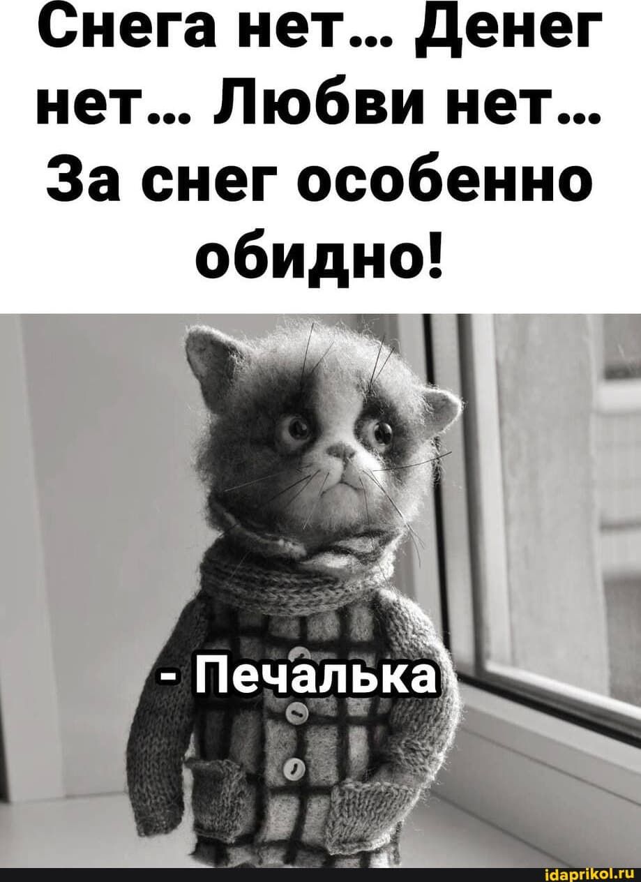 Снега нет... Денег нет... Любви нет... За снег особенно обидно!
- Печалька