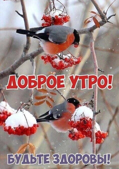 ДОБРОЕ УТРО! БУДЬТЕ ЗДОРОВЫ!