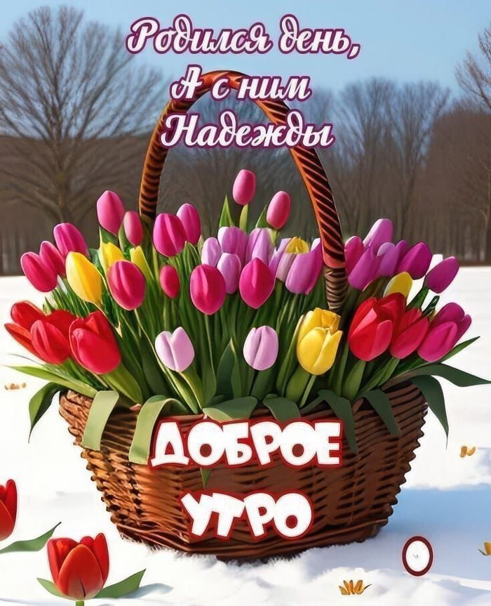 Родился день, А с ним Надежды
ДОБРОЕ УТРО