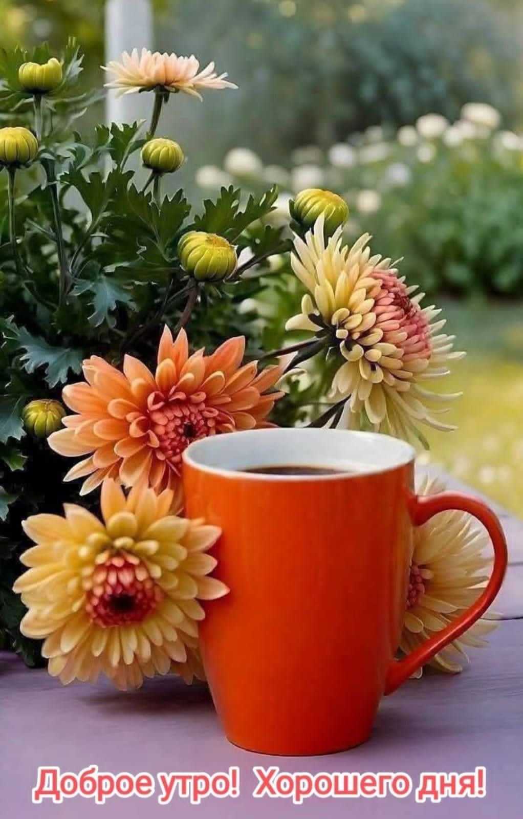 Доброе утро! Хорошего дня!