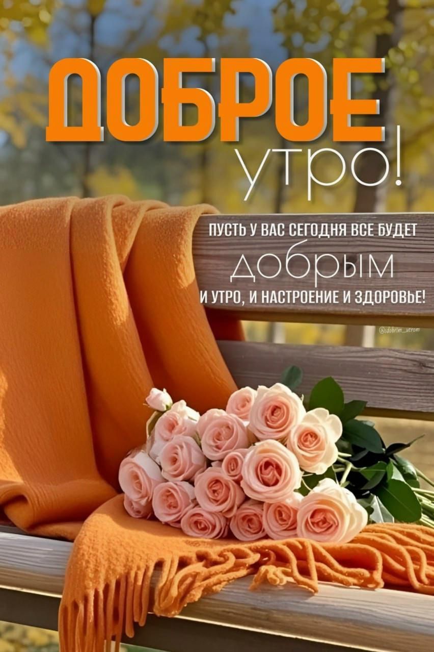 ДОБРОЕ УТРО! ПУСТЬ У ВАС СЕГОДНЯ ВСЕ БУДЕТ ДОБРЫМ И УТРО, И НАСТРОЕНИЕ И ЗДОРОВЬЕ!