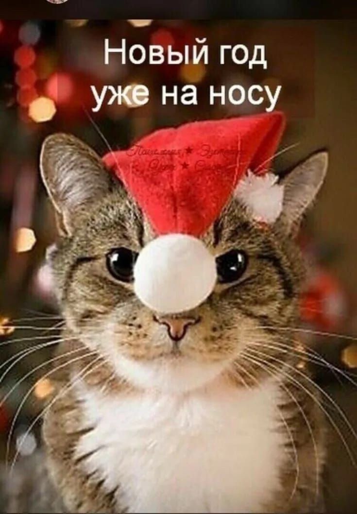 Новый год уже на носу