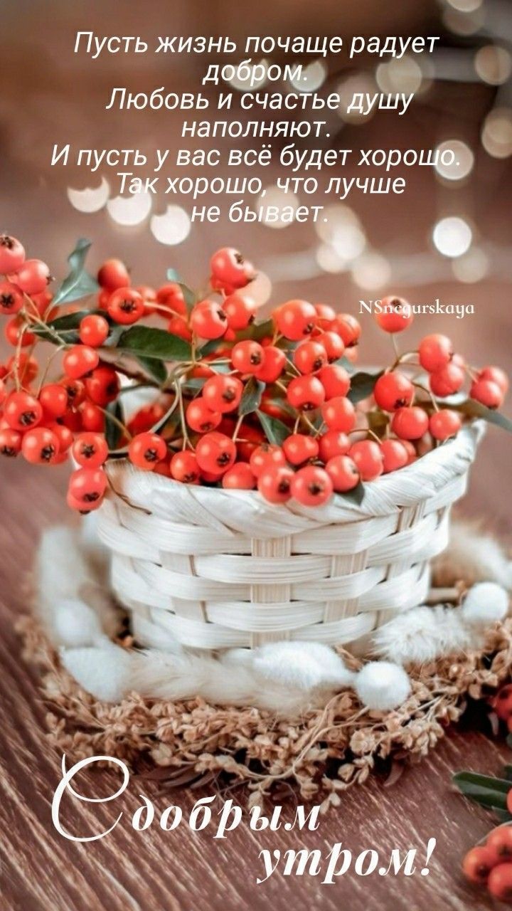 Пусть жизнь почаще радует добром. Любовь и счастье душу наполняют. И пусть у вас всё будет хорошо. Так хорошо, что лучше не бывает. Со добрым утром!