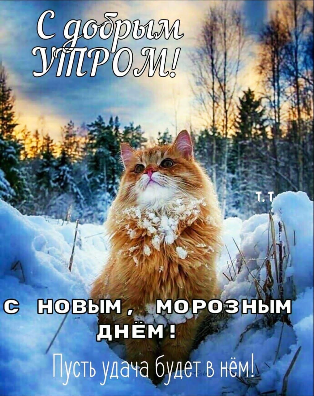 С добрым УПРОМ!\nС НОВЫМ, МОРОЗНЫМ ДНЁМ!\nПусть удача будет в нём!