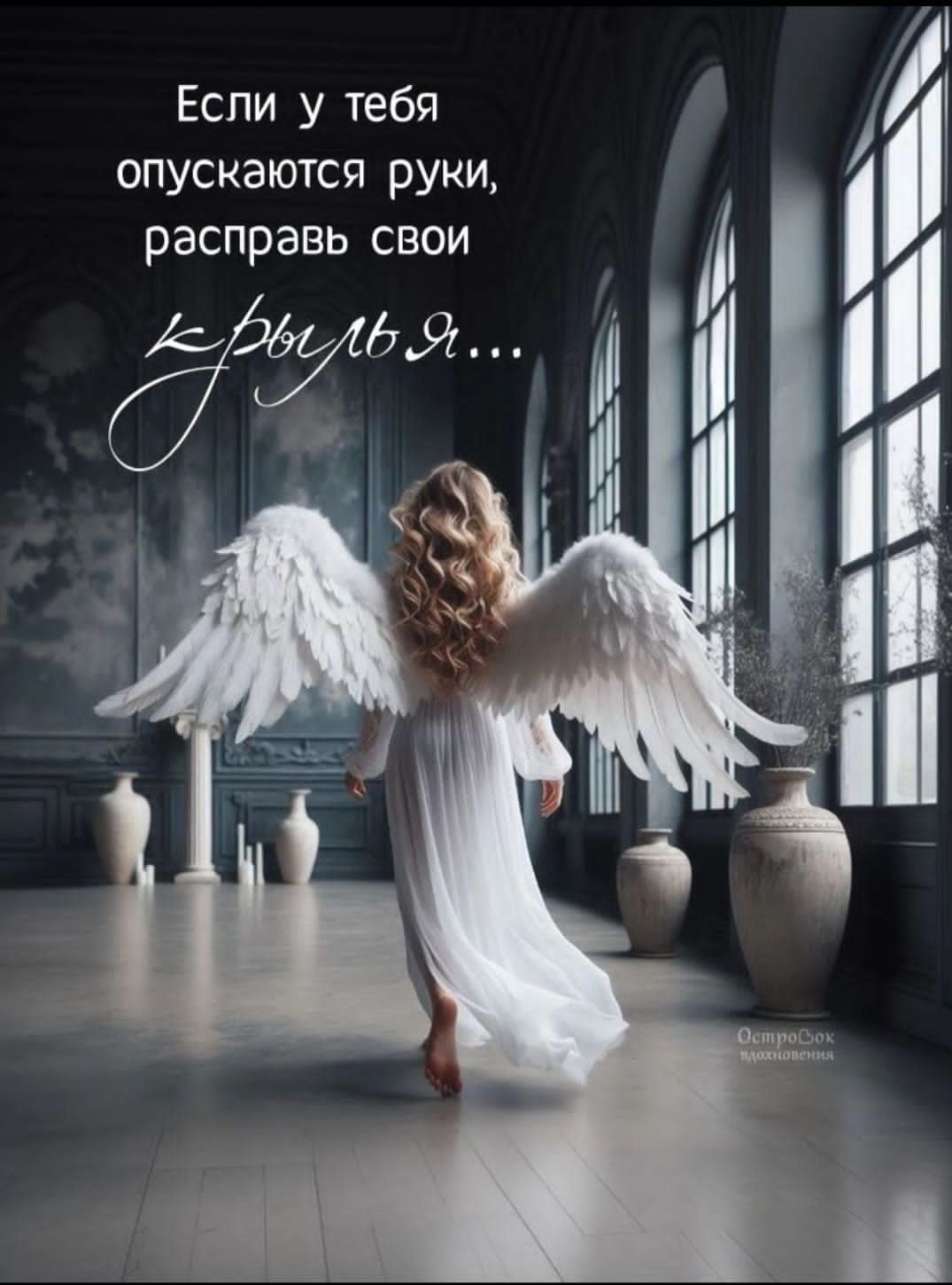 Если у тебя опускаются руки, расправь свои крылья...