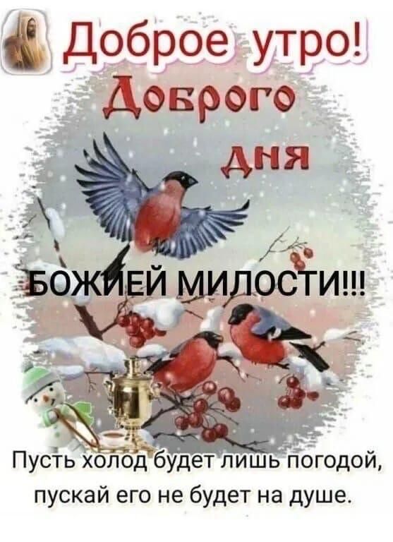 Доброе утро! Доброго дня БОЖЕЙ МИЛОСТИ!!! Пусть холод будет лишь погодой, пускай его не будет на душе.