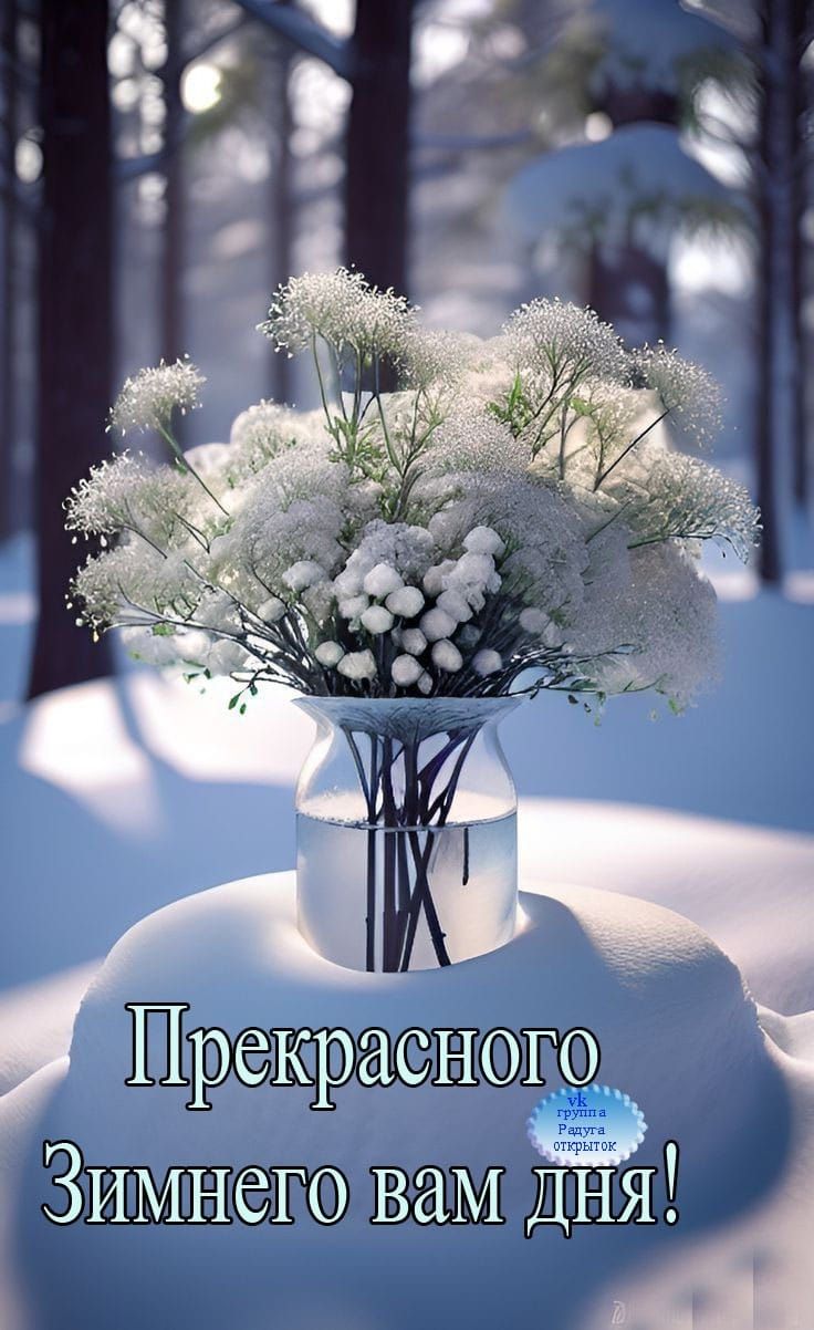 Прекрасного Зимнего вам дня!