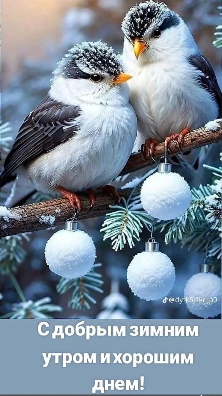С добрым зимним утром и хорошим днем!