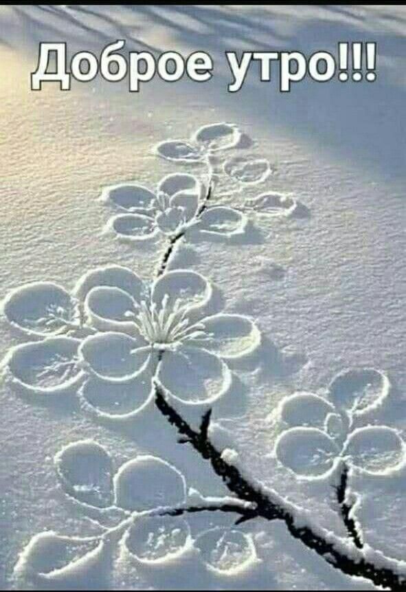 Доброе утро!!!