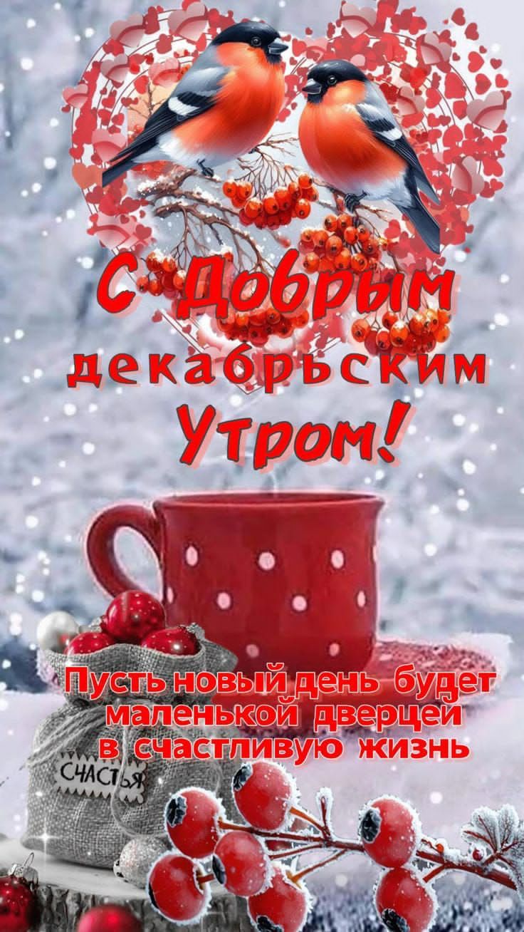 С Добрым декабрьским Утром! Пусть новый день будет маленькой дверцей в счастливую жизнь