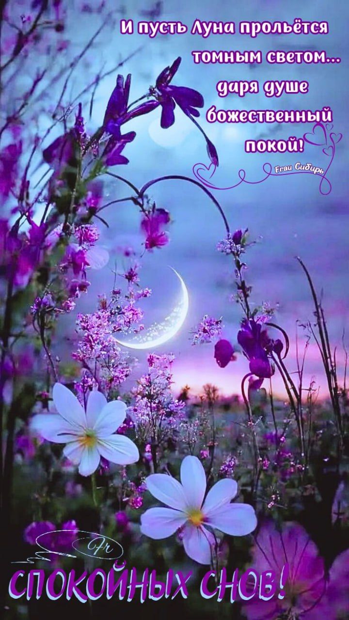 И пусть Луна прольётся тёмным светом... царя душе божественный покой! СПОКОЙНЫХ СНОВ!