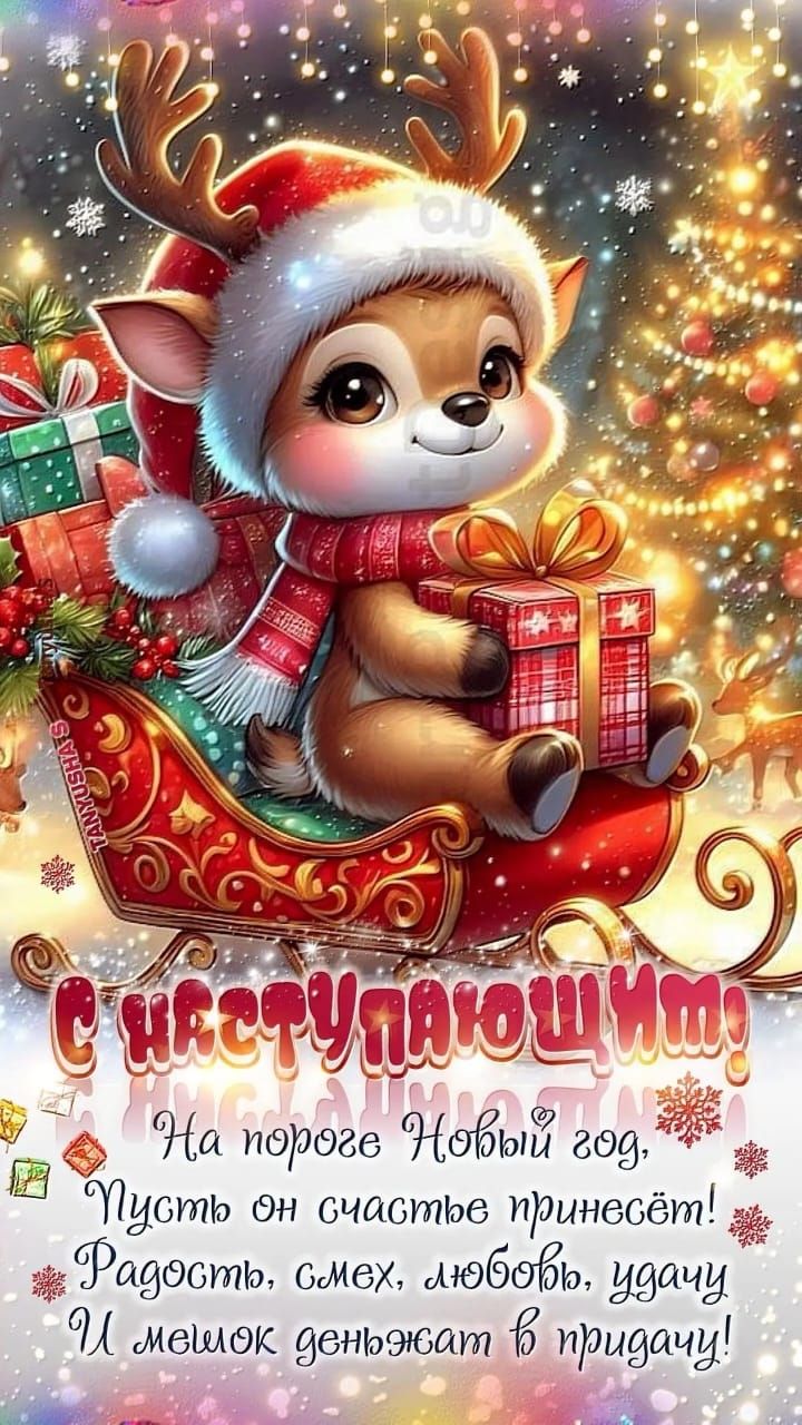 С Новым годом! На пороге Новый год, Пусть он счастье принесёт! Радость, смех, любовь, удачу И мешок денег в приданое!