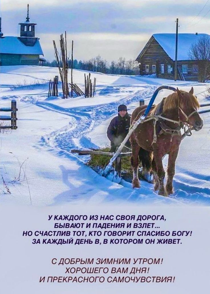 У каждого из нас своя дорога, бывают и падения и взлёт... Но счастлив тот, кто говорит спасибо Богу! За каждый день, в котором он живет. С добрым зимним утром! Хорошего вам дня! И прекрасного самочувствия!