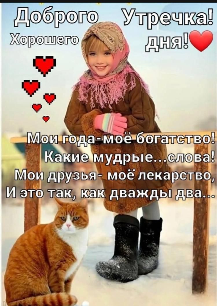 Доброго Утречка! Хорошего дня! Мои года- моё богатство! Какие мудрые...слова! Мои друзья- моё лекарство, И это так, как двaжды два..
