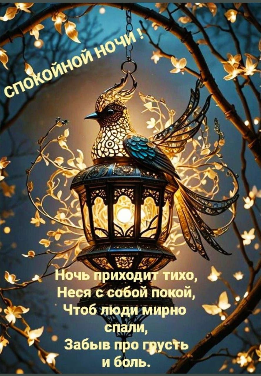 Спокойной ночи! Ночь приходит тихо, Несё с собой покой, Чтоб люди мирно спали, Забыв про грусть и боль.