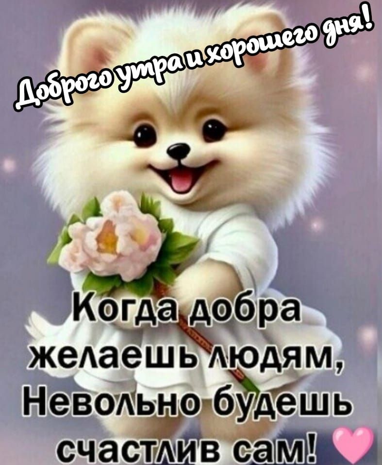 Доброе утро и хорошего дня! Когда добра желаешь людям, Невольно будешь счастлив сам!