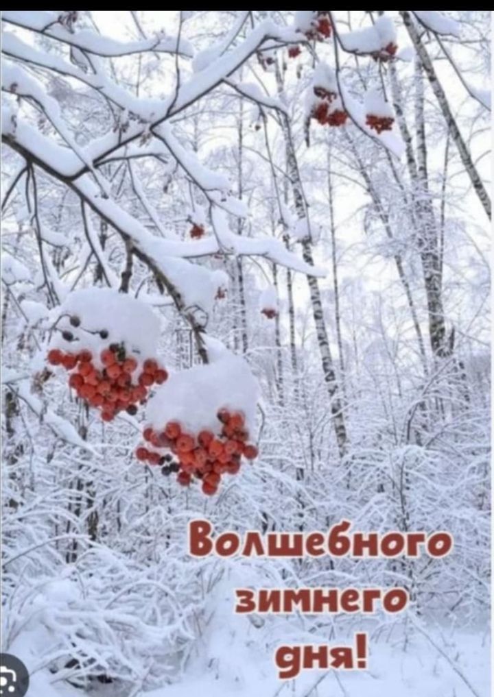 Волшебного зимнего дня!