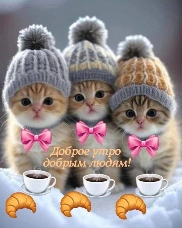 Доброе утро добрым людям!