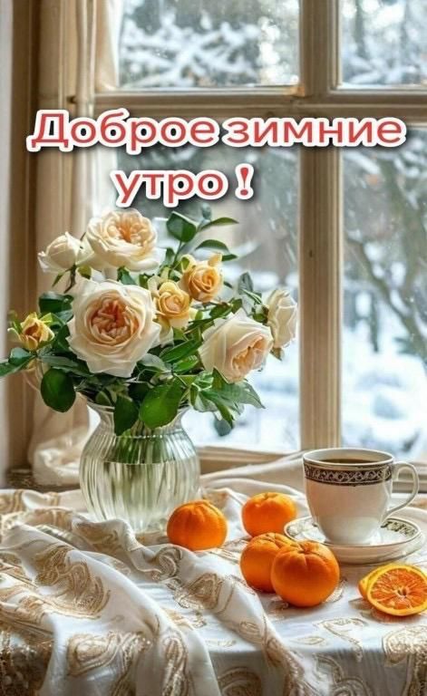 Доброе зимние утро !