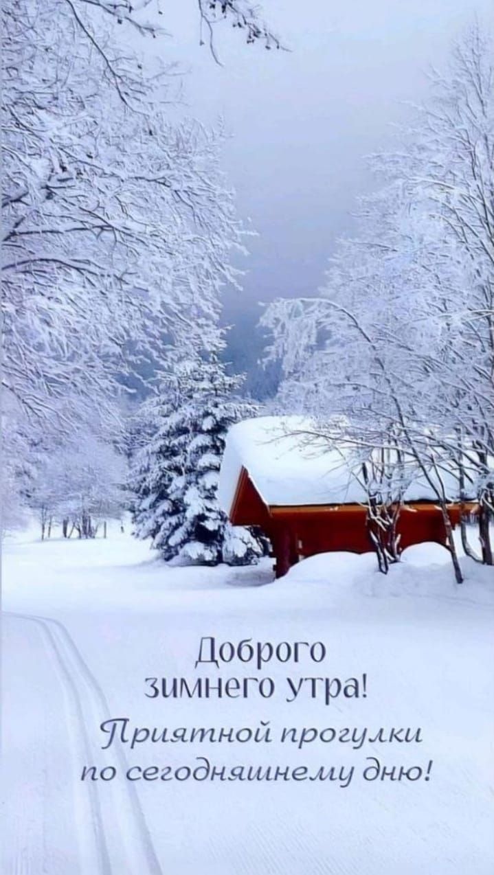 Доброго зимнего утра! Приятной прогулки по сегодняшнему дню!