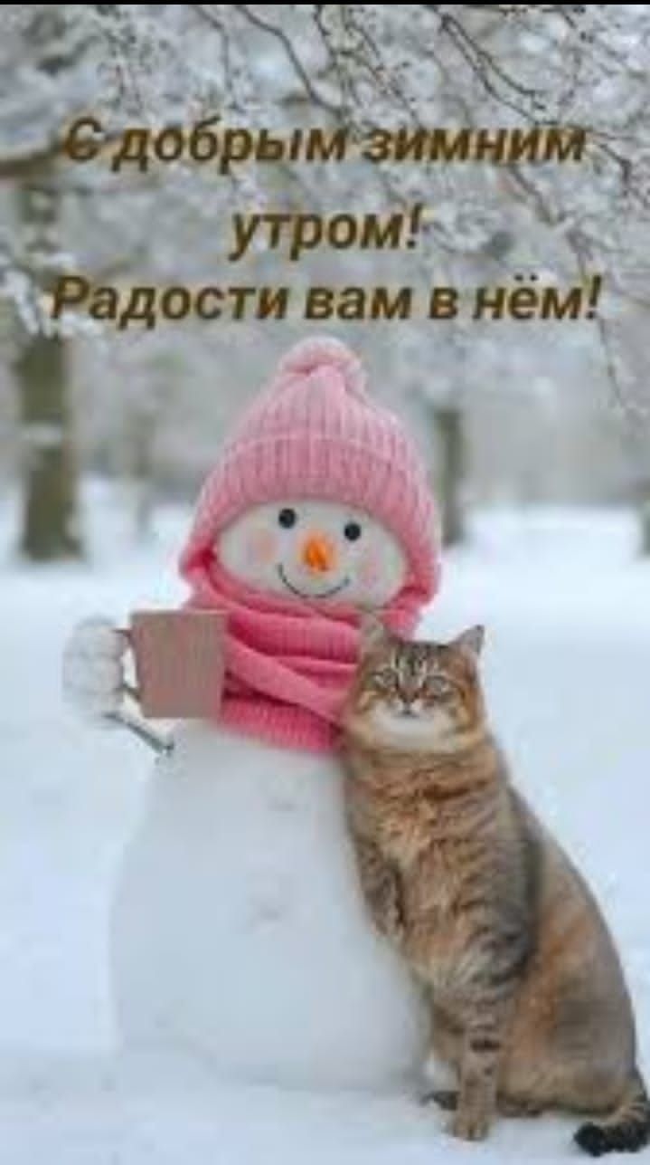 С добрым зимним утром! Радости вам в нём!