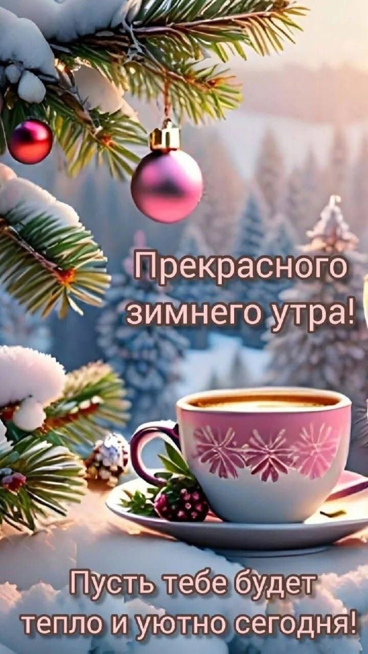 Прекрасного зимнего утра! Пусть тебе будет тепло и уютно сегодня!