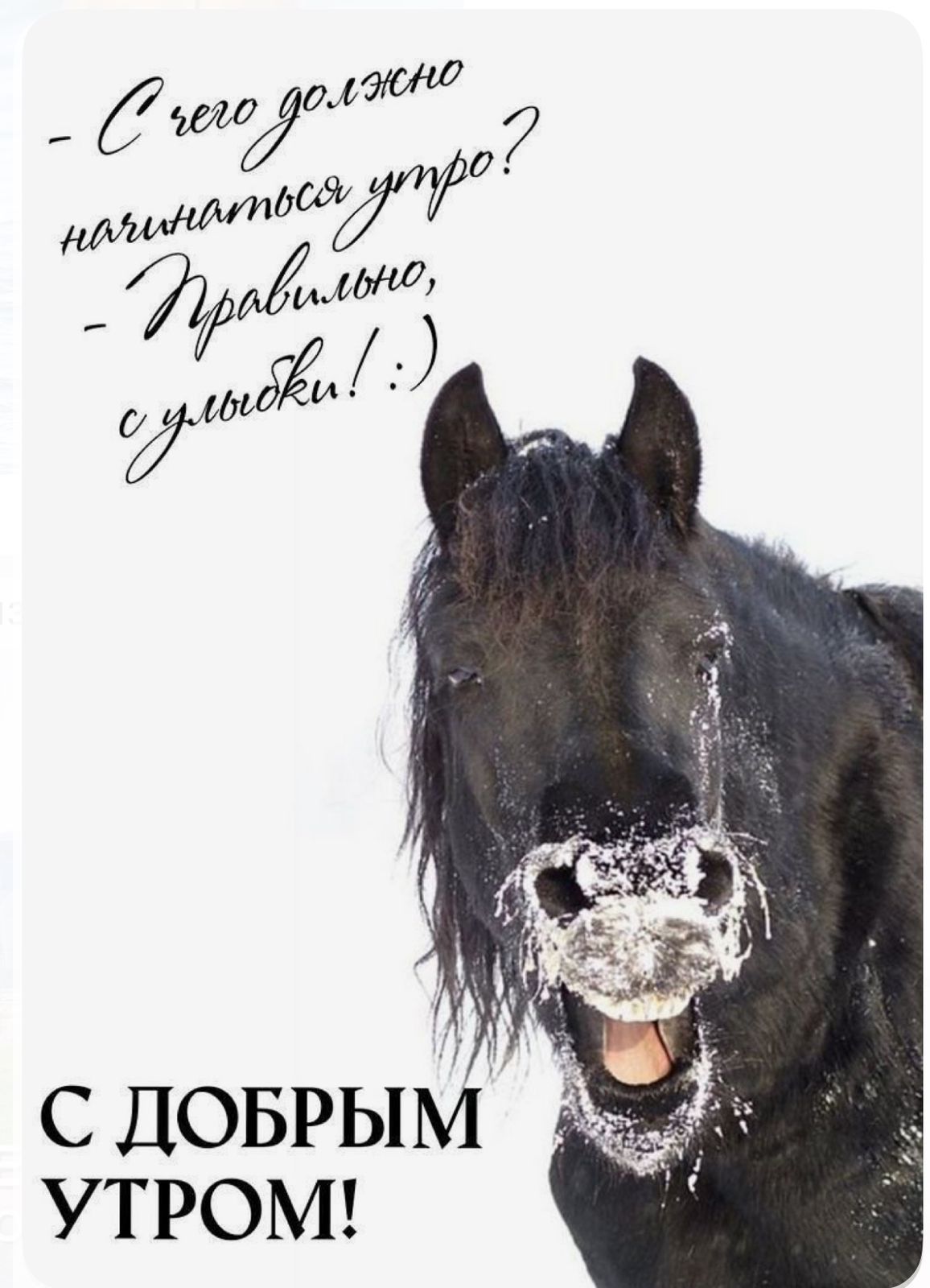 - С чего должно начинаться утро? - Правильно, с улыбки! :) С ДОБРЫМ УТРОМ!