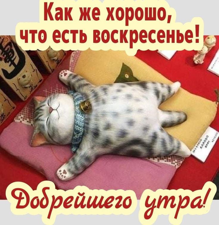 Как же хорошо, что есть воскресенье! Добрейшего утра!