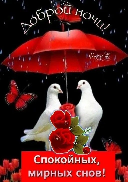 Доброй ночи! Спокойных, мирных снов!
