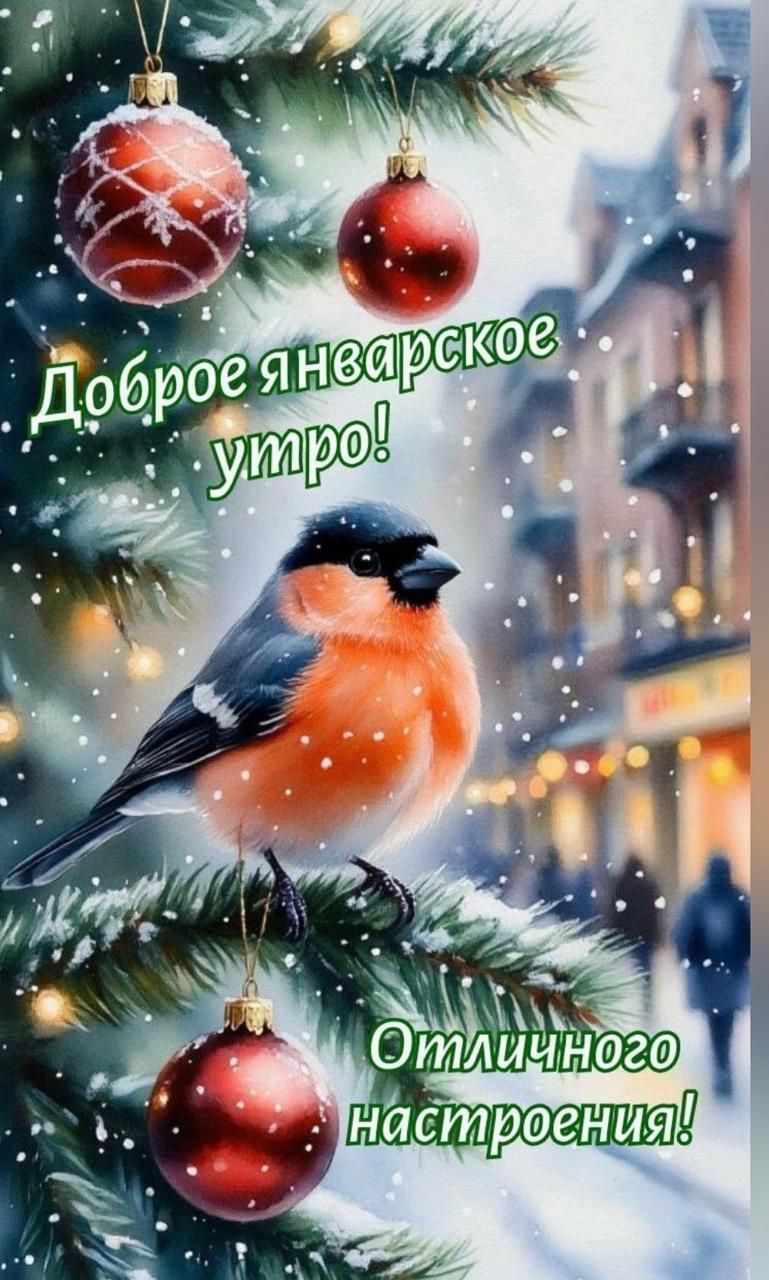 Доброе январское утро! Отличного настроения!