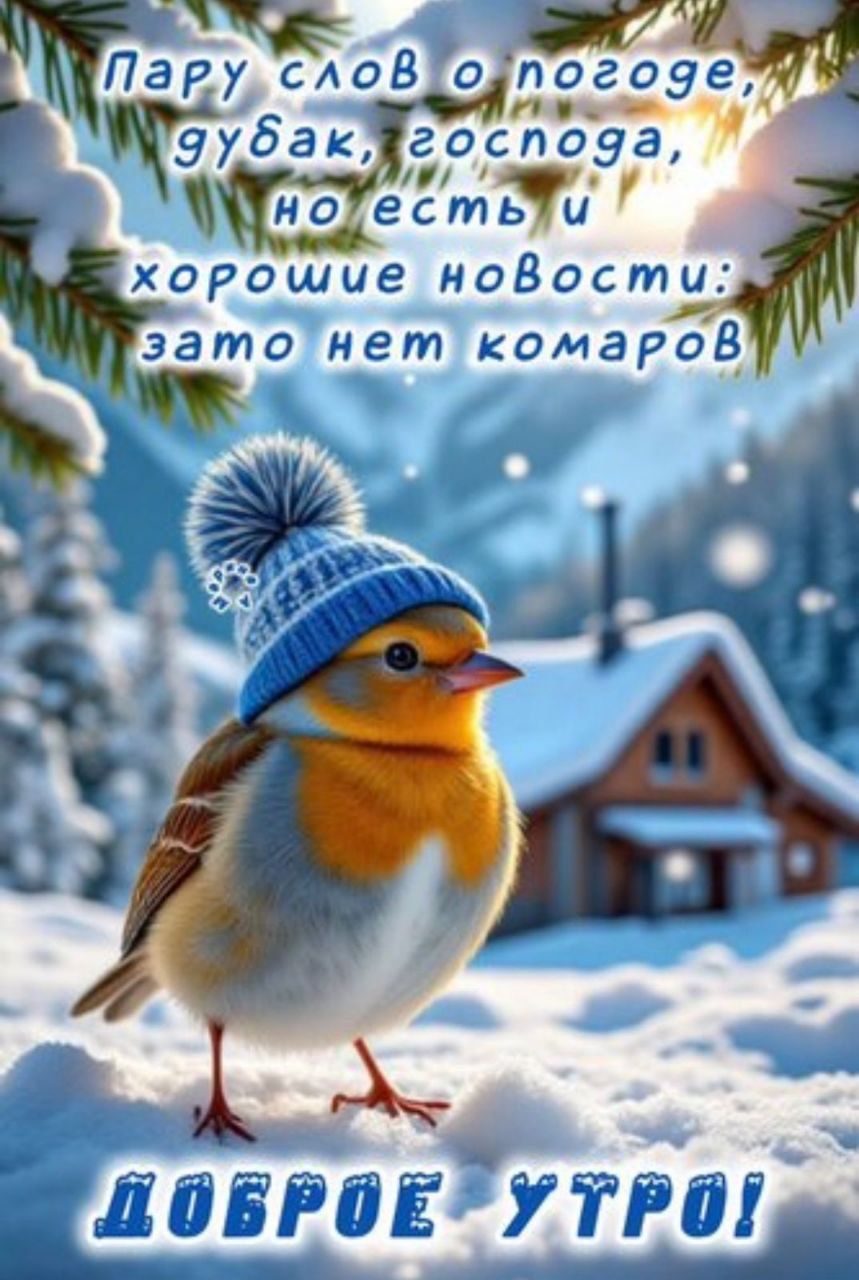 пару слов о погоде, гудбак, господа, но есть и хорошие новости: зато нет комаров