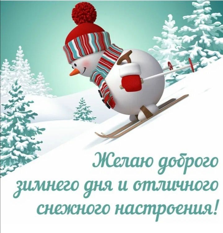 Желаю доброго зимнего дня и отличного снежного настроения!