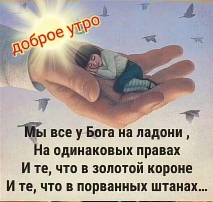 Доброе утро
Мы все у Бога на ладони , На одинаковых правах И те, что в золотой короне И те,что в порванных штанах...