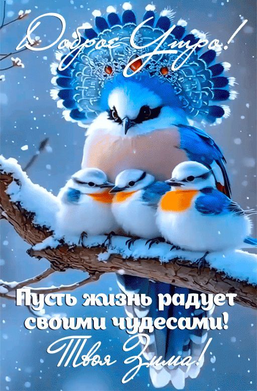 Доброе утро! Пусть жизнь радует своими чудесами! Твоя Зима!