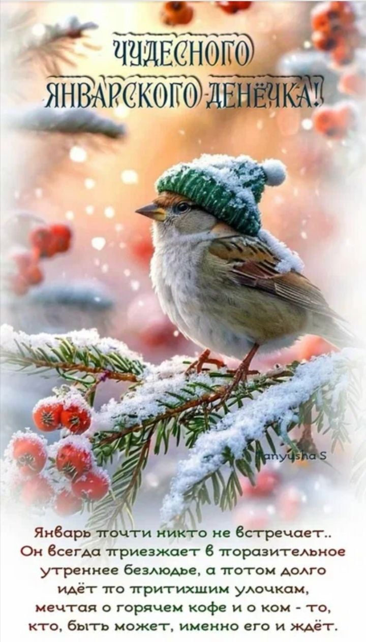 ЧУДЕСНОГО ЯНВАРСКОГО ДЕНЁЧКА! Январь точно никто не встречает. Он всегда приезжает в потрясающее утреннее безмолвие, а потом долго идёт по притихшим улочкам, мечтая о горячем кофе и о ком-то, кто, быть может, именно его и ждёт.
