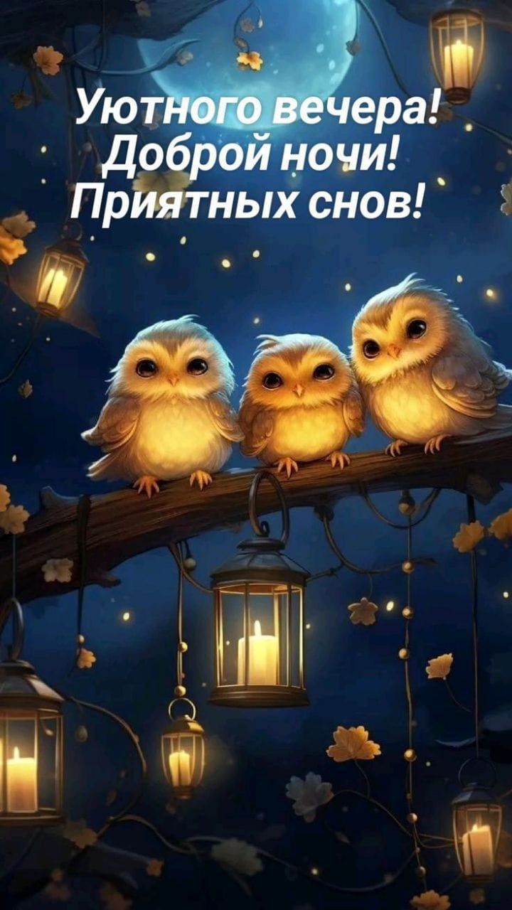 Уютного вечера! Доброй ночи! Приятных снов!