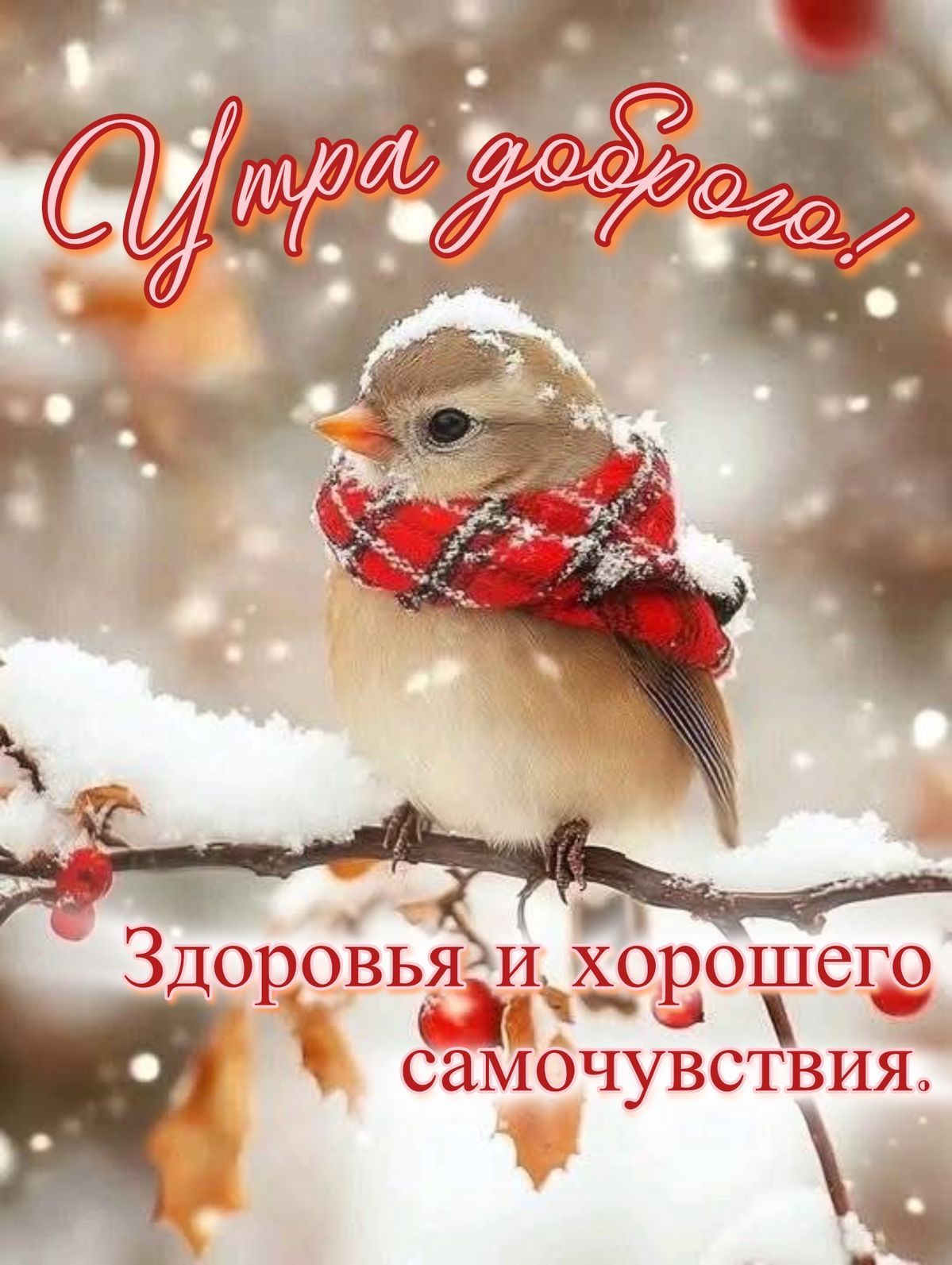 Утро доброе! Здоровья и хорошего самочувствия.