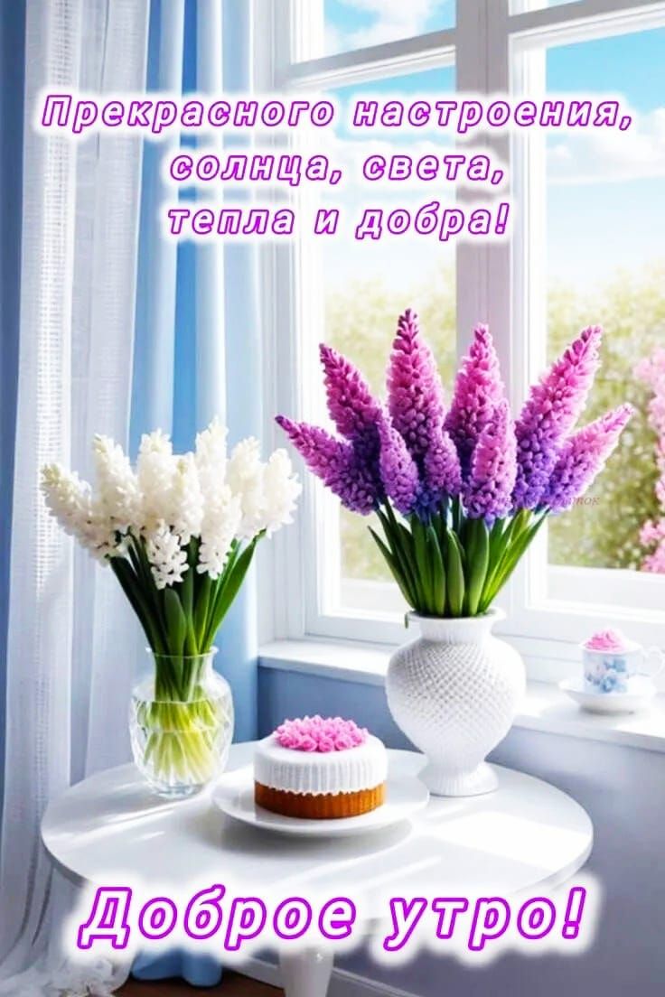 Прекрасного настроения, солнца, света, тепла и добра!
Доброе утро!