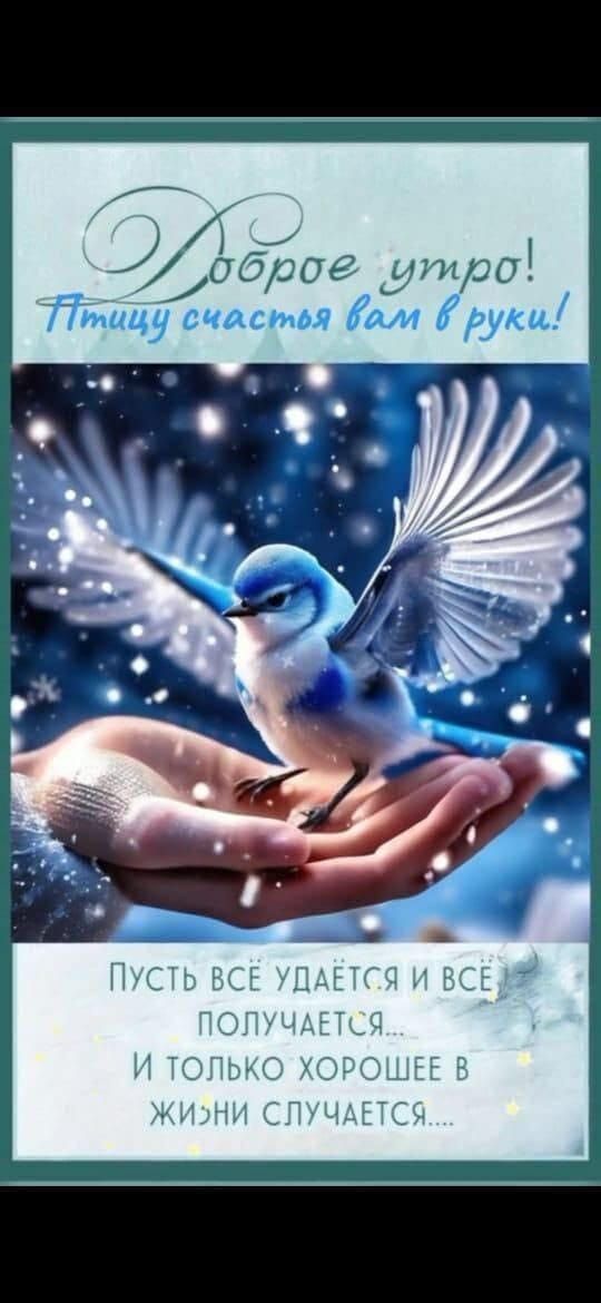 Доброе утро! Птицу счастья вам в руки! Пусть всё удаётся и всё получается... И только хорошее в жизни случается...