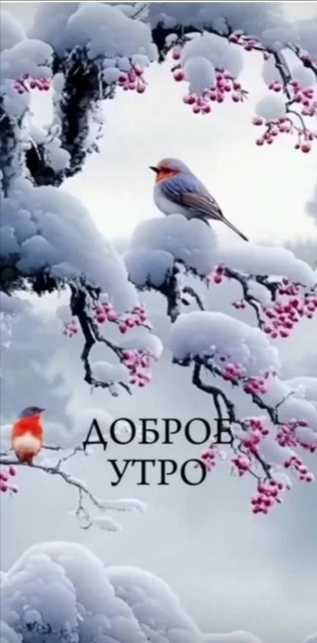 Доброе утро