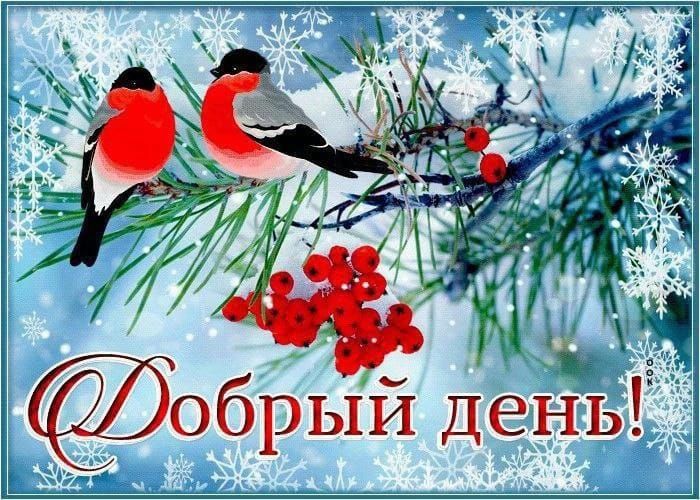 Добрый день!