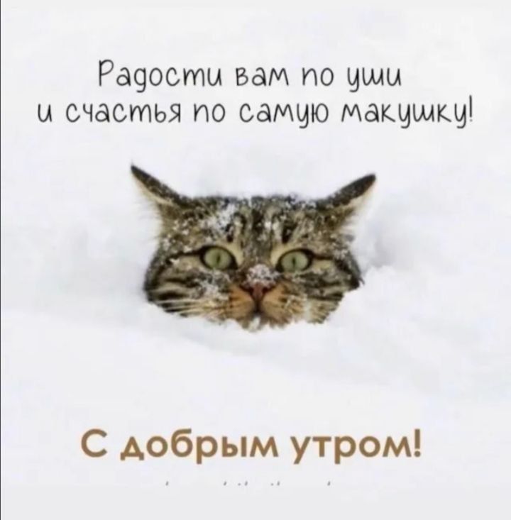 Радости вам по уши и счастья по самую макушку! С добрым утром!
