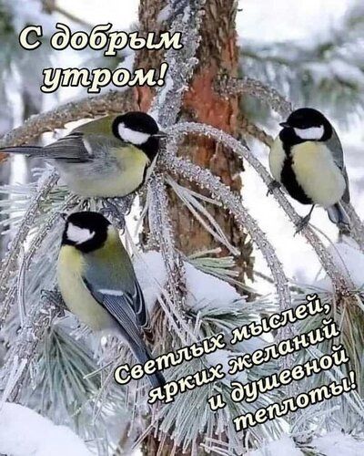 С добрым утром! Светлых мыслей, ярких желаний и душевной теплотой!
