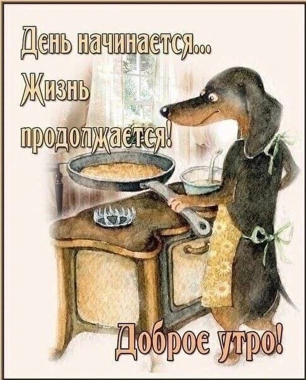 День начинается... Жизнь продолжается! Доброе утро!