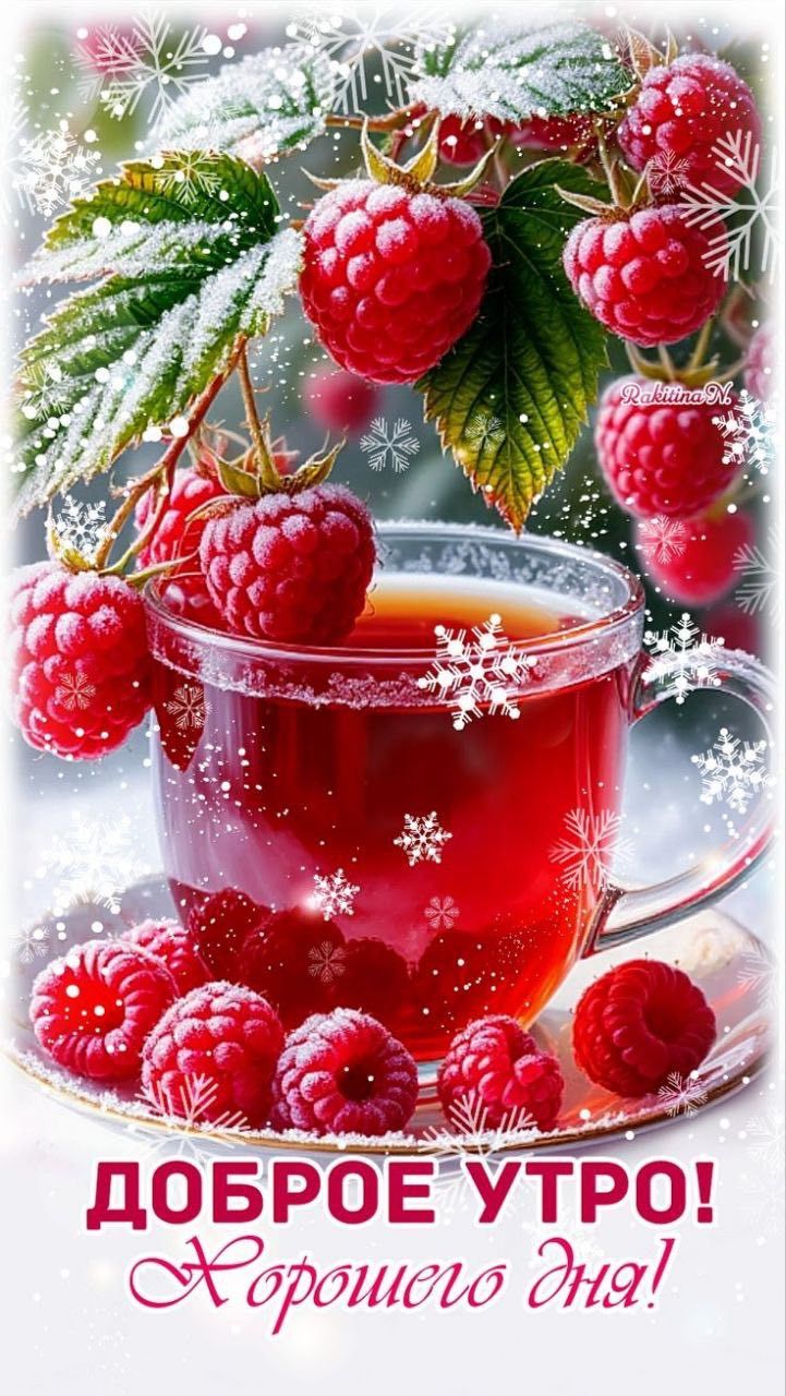 Доброе утро! Хорошего дня!