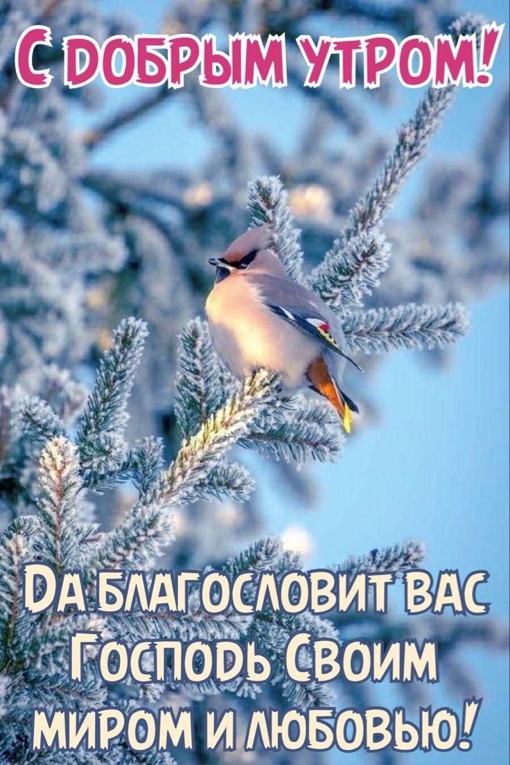 С ДОБРЫМ УТРОМ!\nДа благословит вас Господь своим миром и любовью!