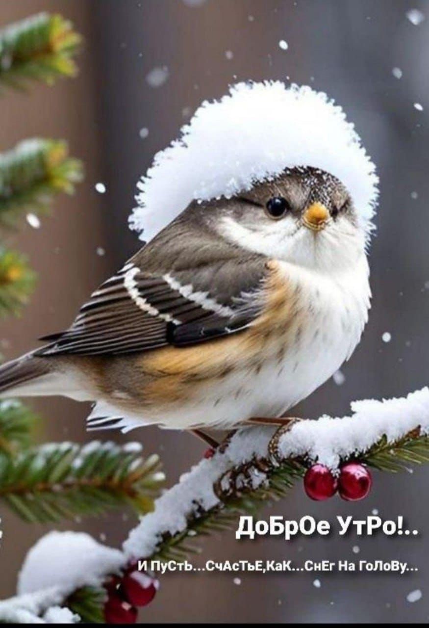 Доброе утро!.. И Пусть... Счастье, как.. Снег на голове..