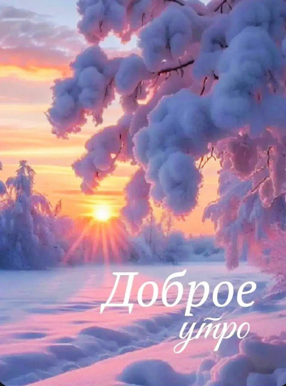 Доброе утро