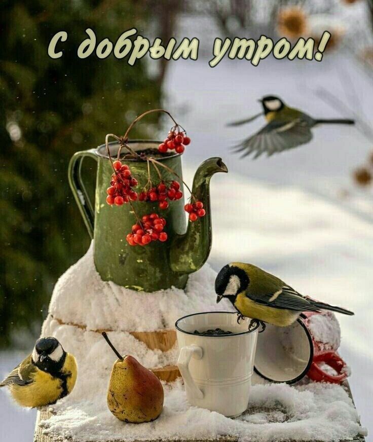 С добрым утром!